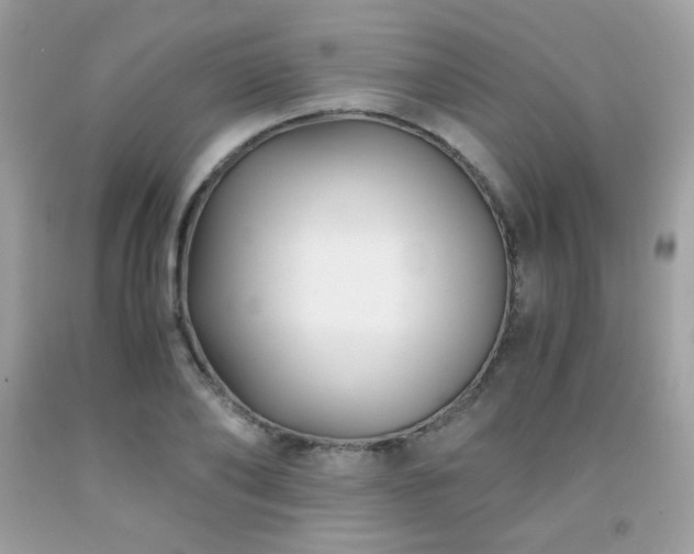 X0000092020886200709061551