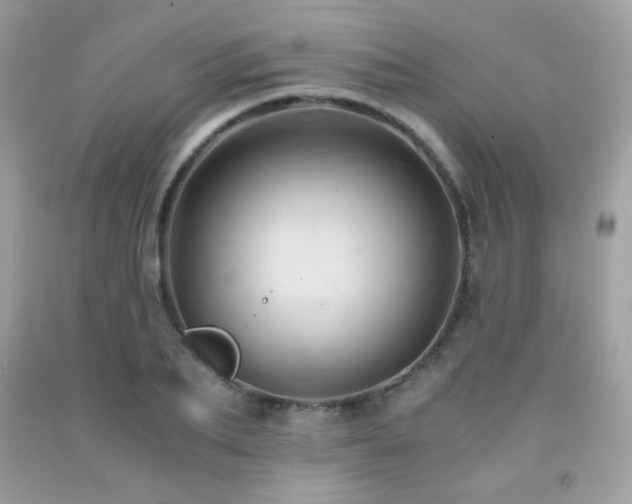 X0000092020887200709061551