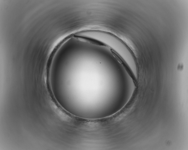 X0000092020888200709061551