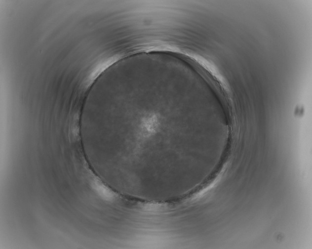 X0000092020889200709061551