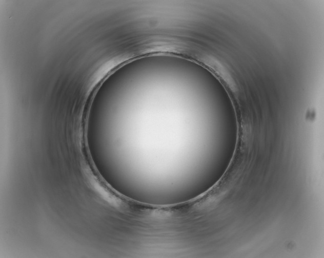 X0000092020890200709061551