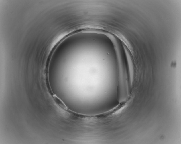 X0000092020893200709061551