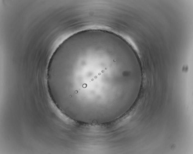 X0000092020895200709061551
