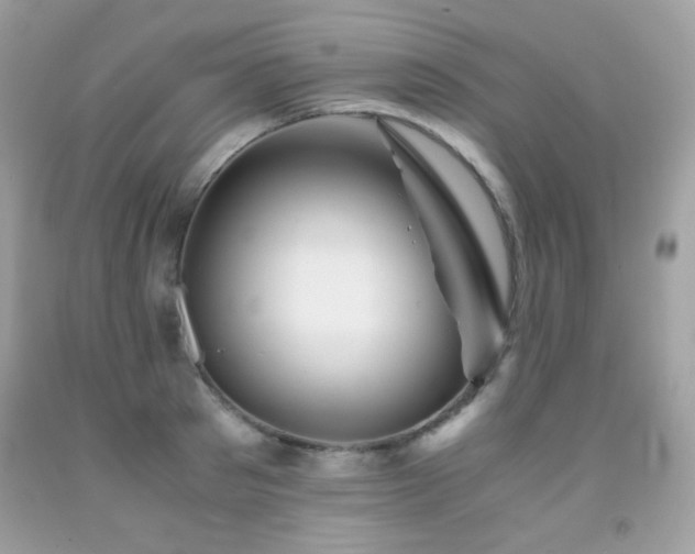 X0000092020897200709061551