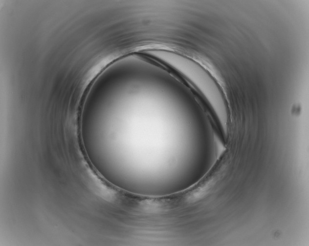 X0000092020898200709061551