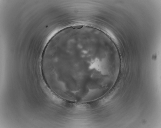 X0000092020899200709061551