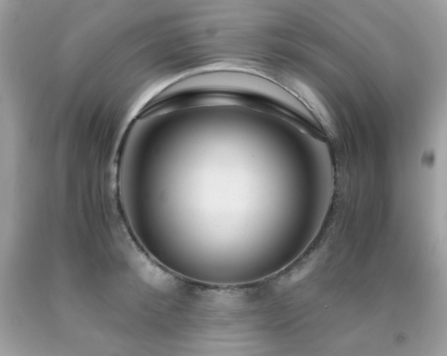 X0000092020900200709061551