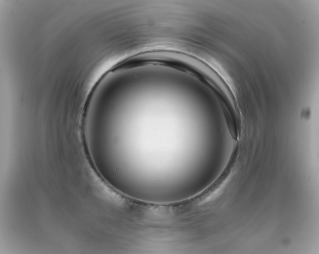 X0000092020901200709061551