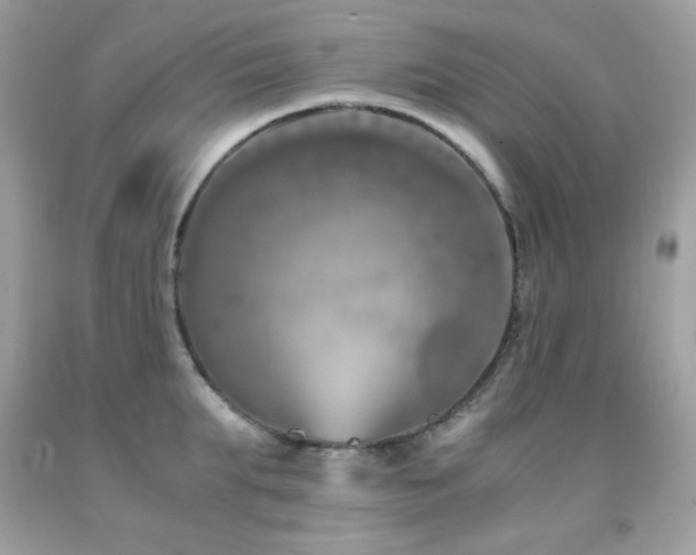 X0000092020903200709061551