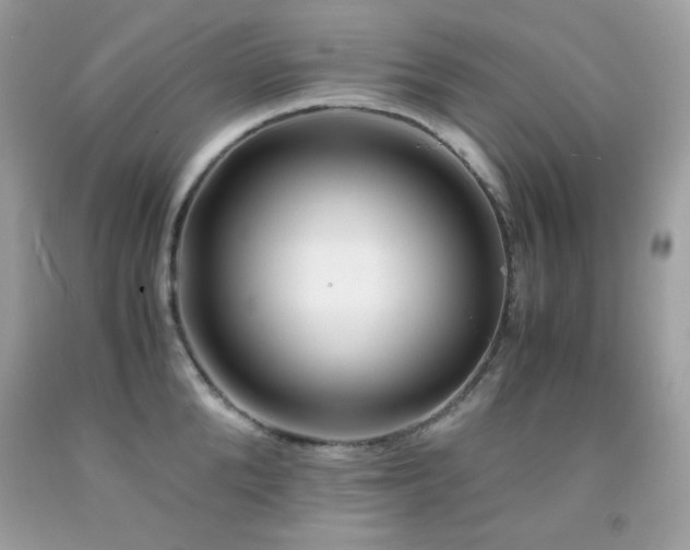 X0000092020904200709061551