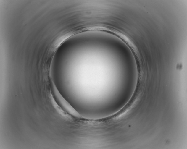 X0000092020905200709061551