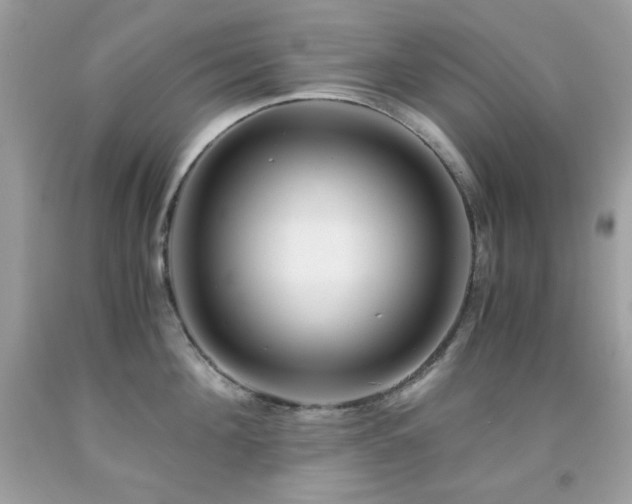 X0000092020908200709061550