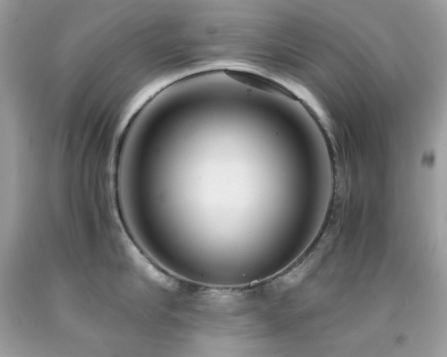 X0000092020910200709061550