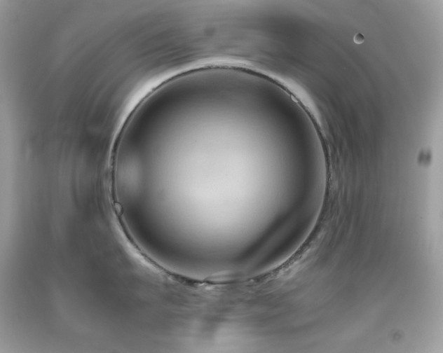 X0000092020911200709061550