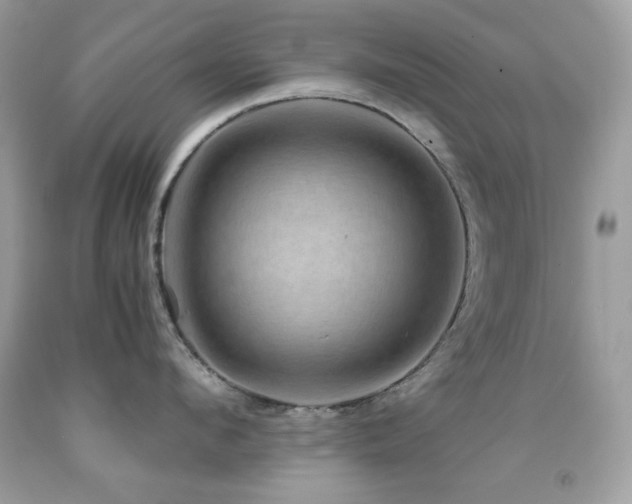 X0000092020912200709061550