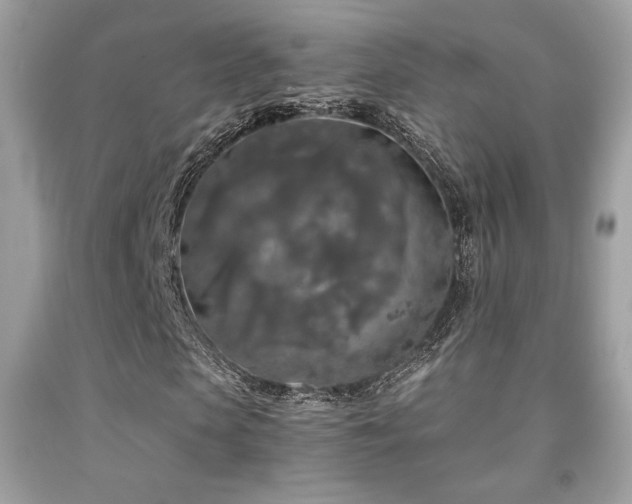 X0000092020913200709061550