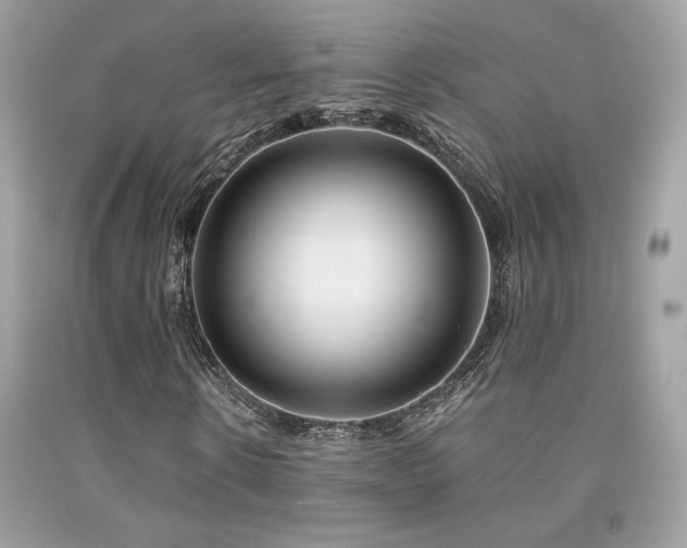 X0000092020914200709061550
