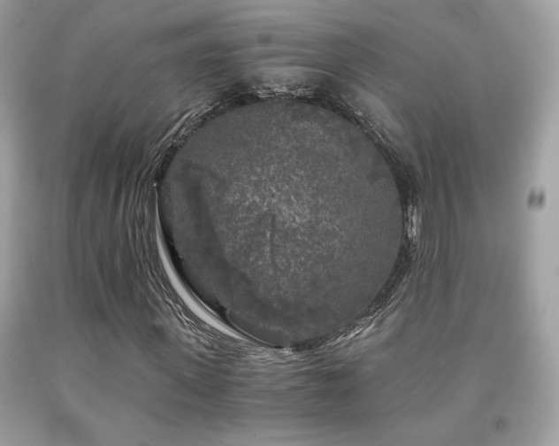 X0000092020915200709061550