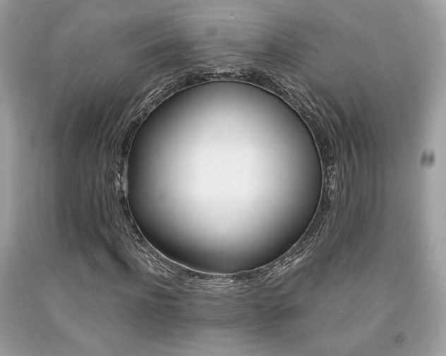 X0000092020916200709061550