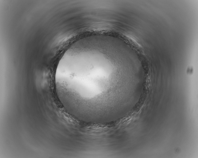 X0000092020917200709061550
