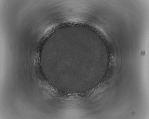 X0000092020918200709061550