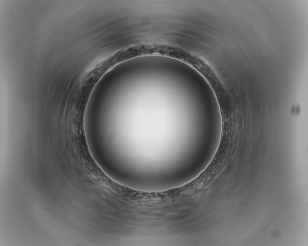 X0000092020919200709061550