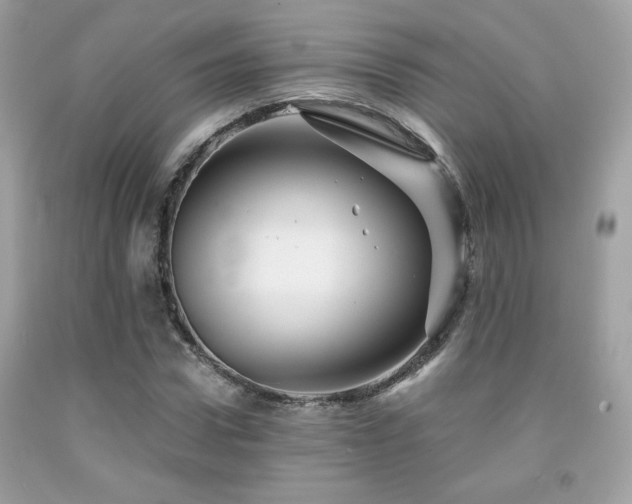 X0000092020922200709061550