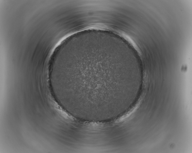 X0000092020923200709061550