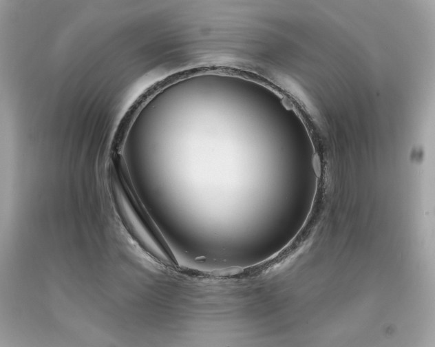 X0000092020924200709061550
