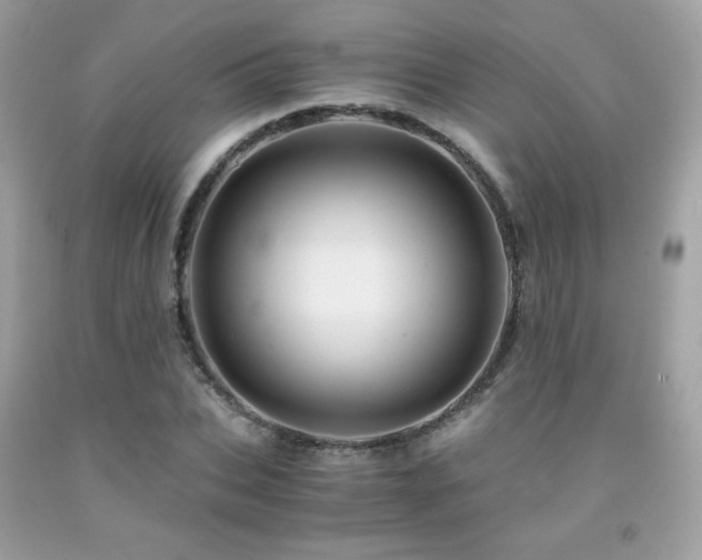 X0000092020927200709061550