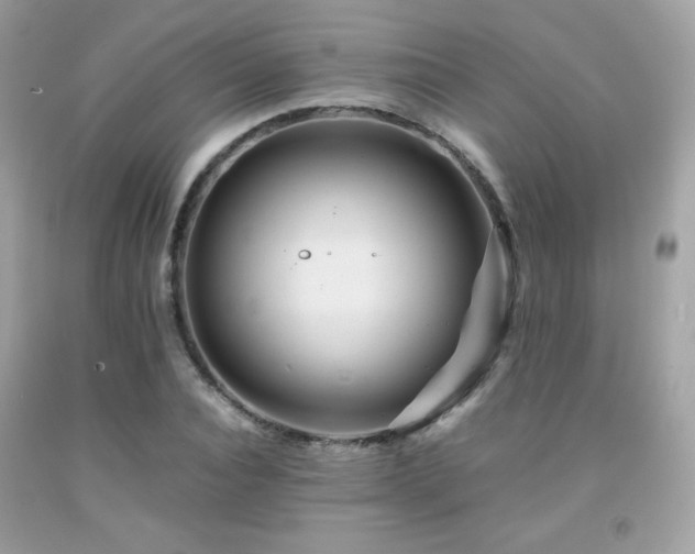 X0000092020928200709061550