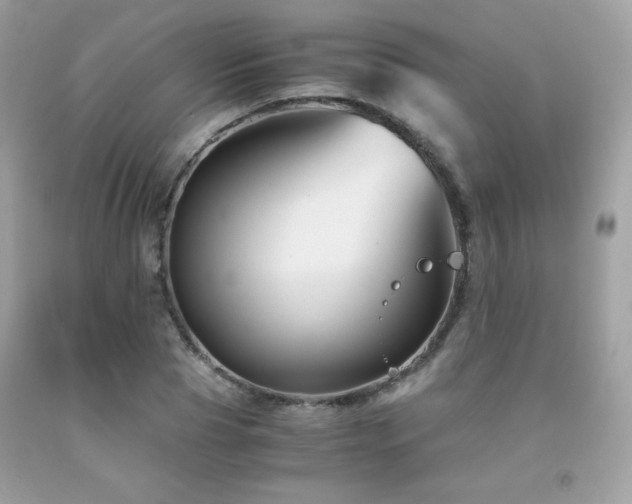 X0000092020929200709061550