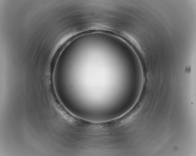 X0000092020931200709061550