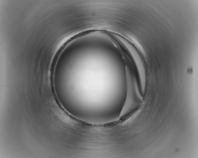 X0000092020932200709061550