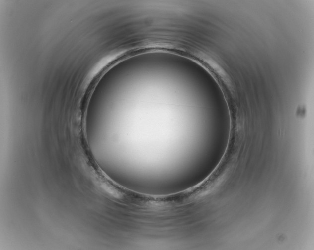 X0000092020933200709061550