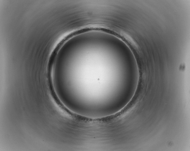 X0000092020934200709061550