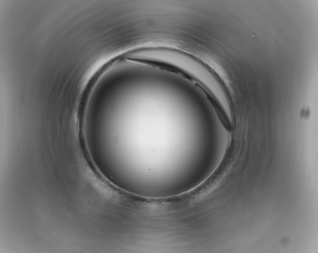 X0000092020936200709061550