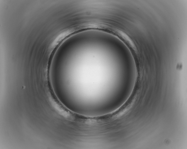 X0000092020938200709061550