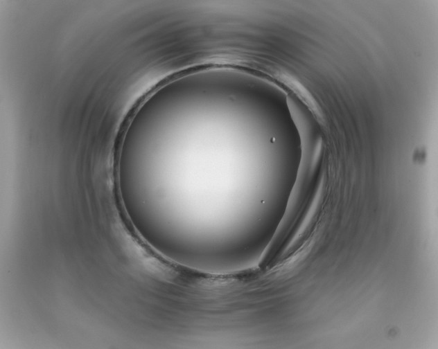 X0000092020939200709061550