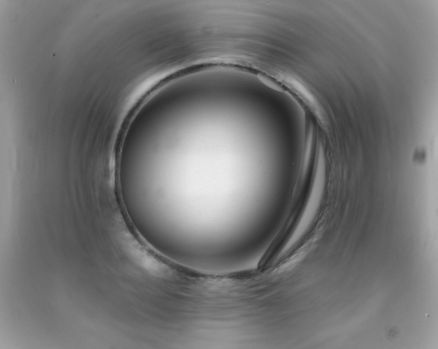 X0000092020940200709061550