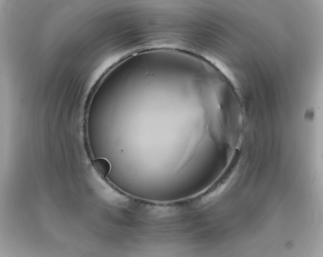 X0000092020941200709061550