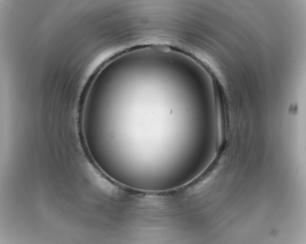 X0000092020942200709061550