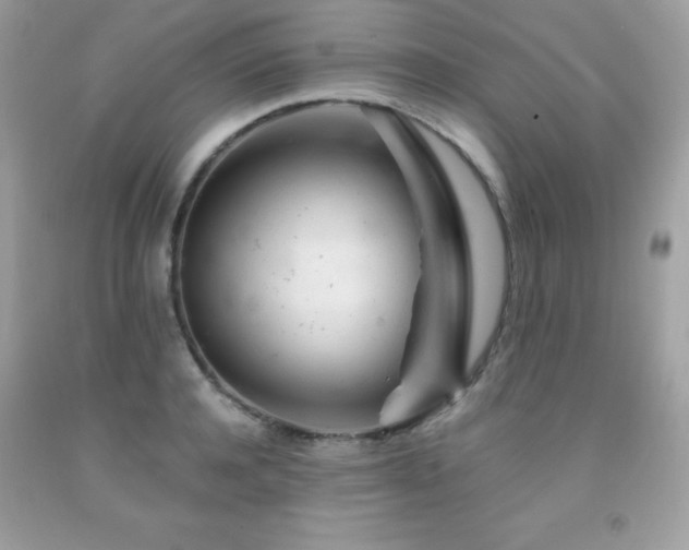 X0000092020944200709061550