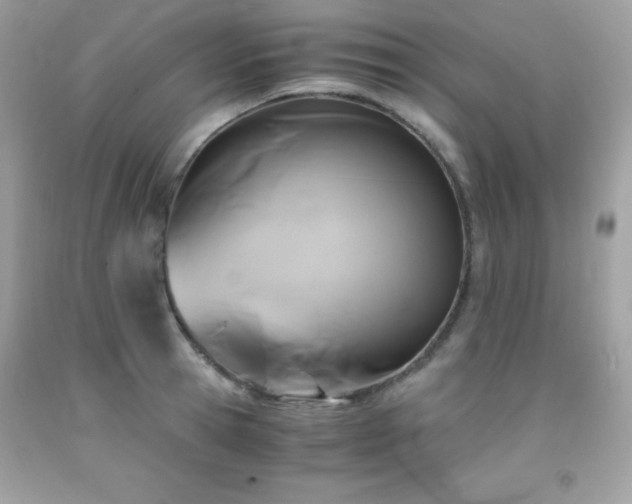 X0000092020945200709061550