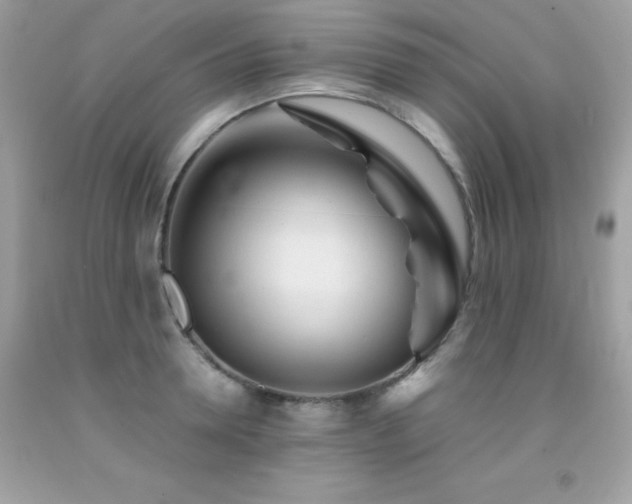 X0000092020946200709061550