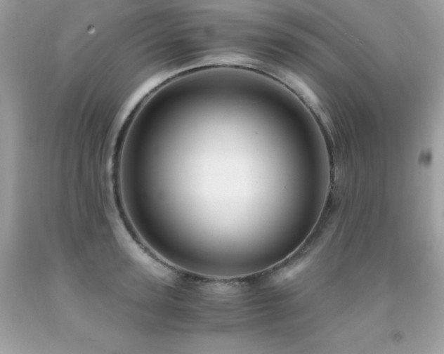 X0000092020947200709061550