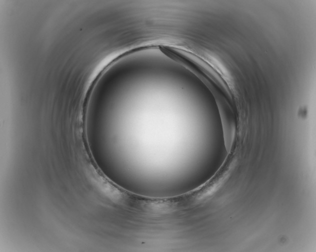 X0000092020948200709061550