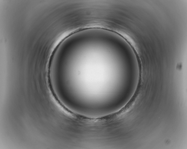 X0000092020949200709061550