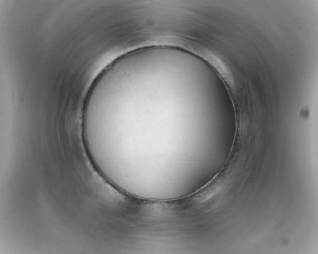 X0000092020950200709061550