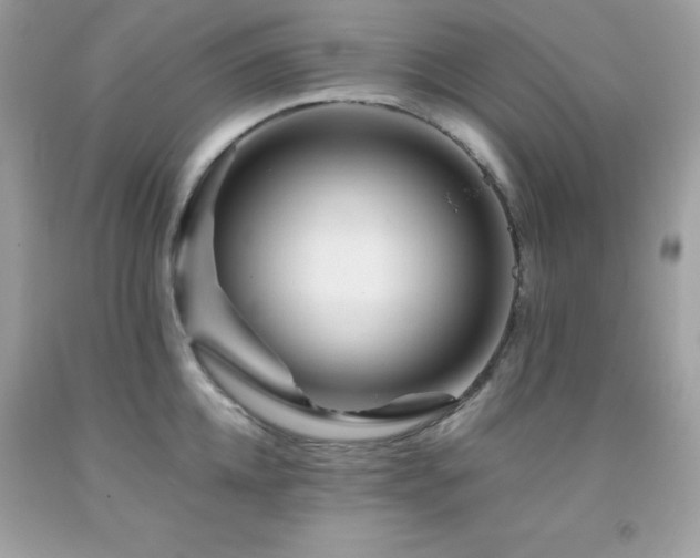 X0000092020952200709061550